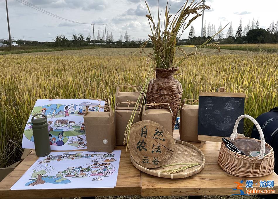 他們各自離開城市 在一座農(nóng)場中“效法自然”？