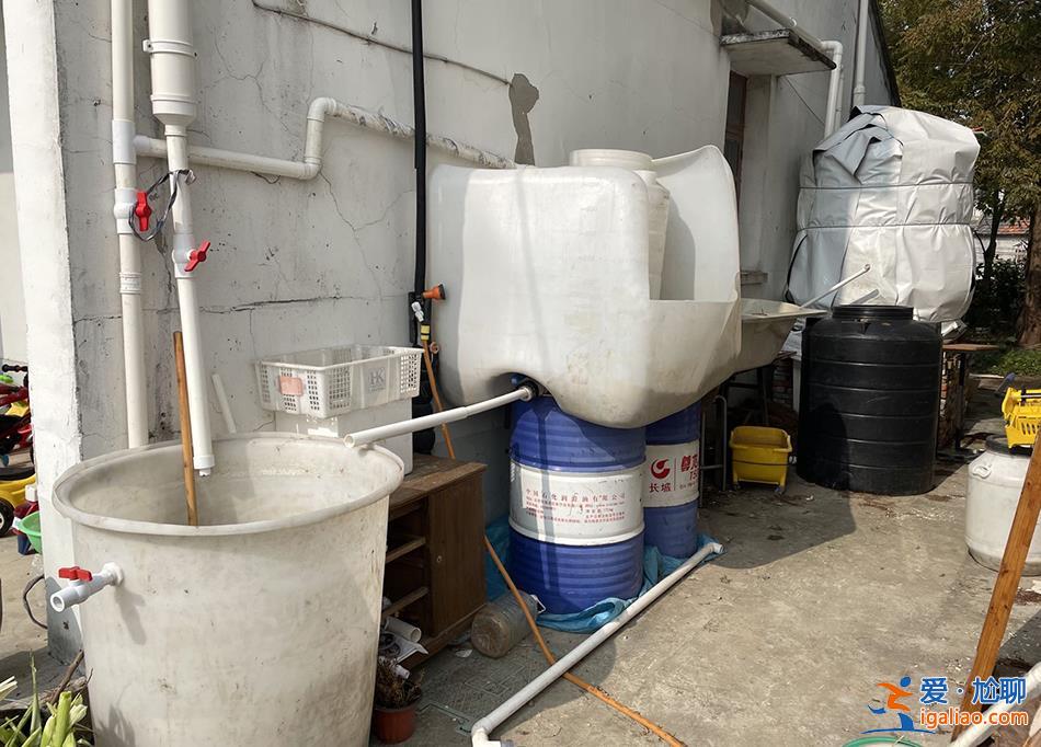 他們各自離開城市 在一座農(nóng)場中“效法自然”？