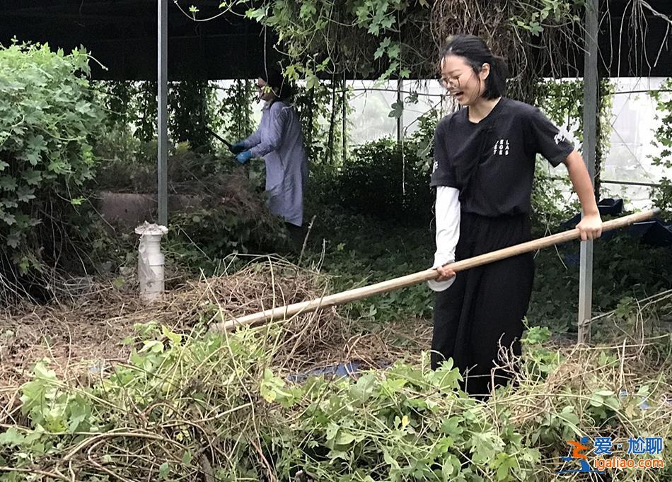他們各自離開城市 在一座農(nóng)場中“效法自然”？