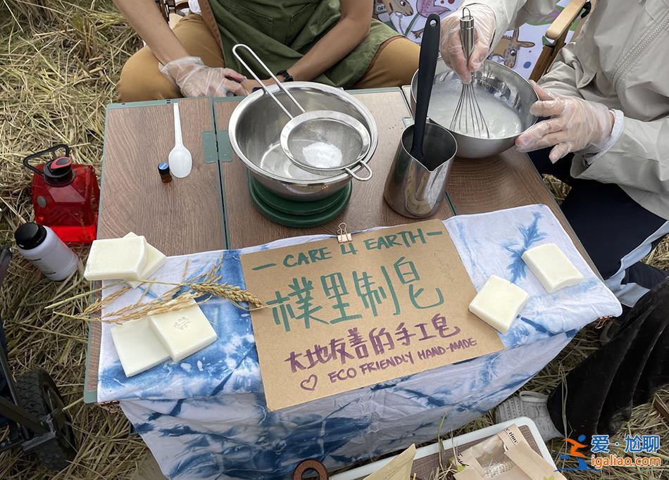 他們各自離開城市 在一座農(nóng)場中“效法自然”？