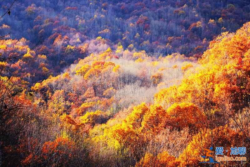 【喇叭溝幾月能看紅葉】2018喇叭溝門紅葉節時間、地點、門票及活動? 【喇叭溝幾月能看紅葉】2018喇叭溝門紅葉節時間、地點、門票及活動?