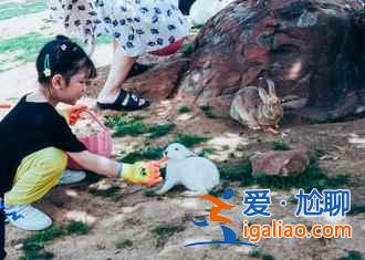 2017春天去哪里看杏花?盤點全國杏花觀賞地? 2017春天去哪里看杏花?盤點全國杏花觀賞地?