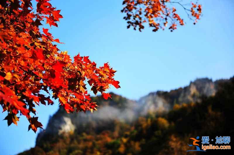 2018北海道紅葉觀賞景點及時間,北海道最美秋季美景? 2018北海道紅葉觀賞景點及時間,北海道最美秋季美景?