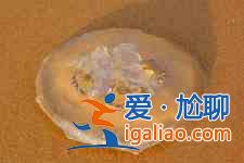 涼拌海蜇? 涼拌海蜇?