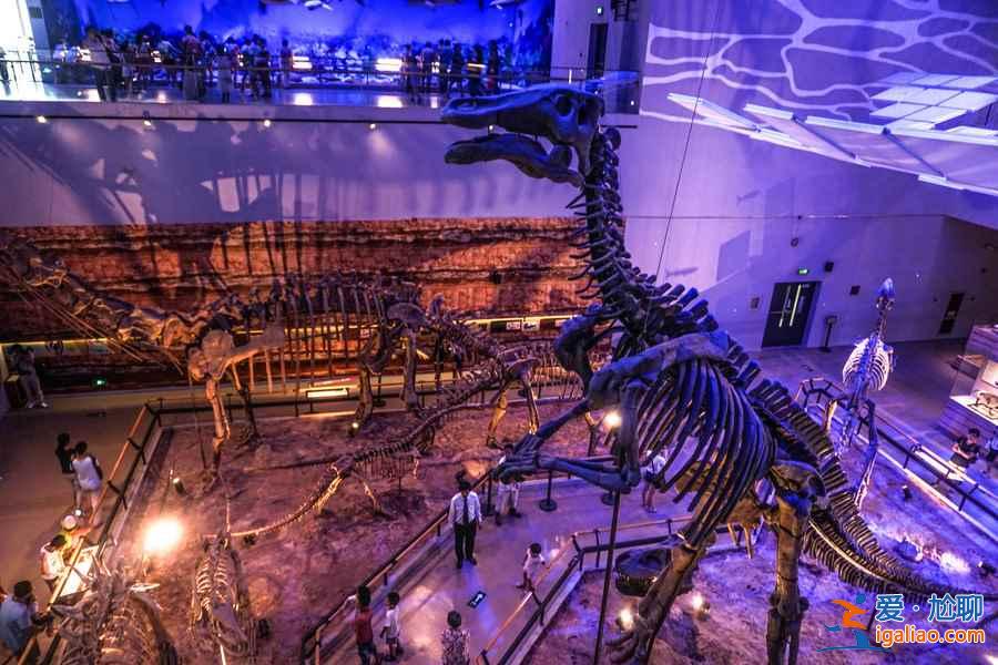【廣州兒童節去哪里玩】2019廣州六一兒童節好去處？