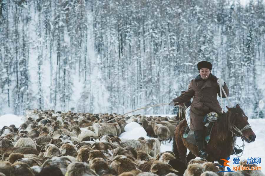 中國(guó)雪景最美的7個(gè)地方，美哭了世界！？
