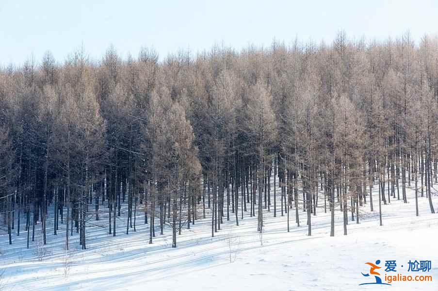 中國(guó)雪景最美的7個(gè)地方，美哭了世界！？
