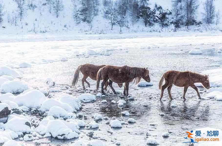 中國(guó)雪景最美的7個(gè)地方，美哭了世界！？