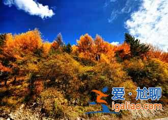【米亞羅紅葉】2017四川米亞羅紅葉門票、最佳攝影時間、交通指南？