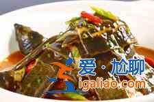 甲魚的做法大全？