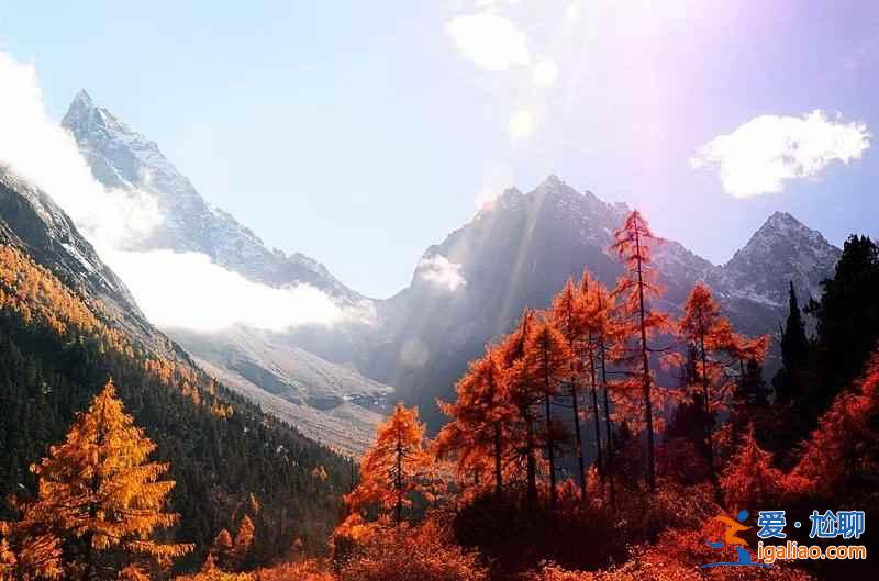 【米亞羅紅葉】2017四川米亞羅紅葉門票、最佳攝影時間、交通指南？