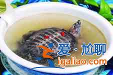 甲魚湯的做法？