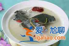 甲魚湯的做法？
