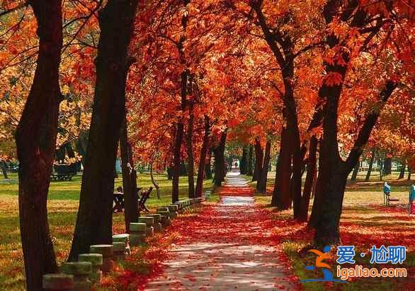 【北京看紅葉的地方】2018北京看紅葉去哪里，北京看紅葉地方推薦？