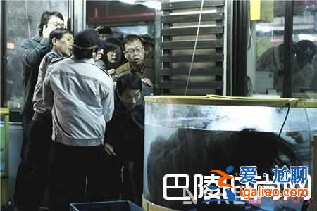 《漢江怪物》恐怖災難片好看嗎？？