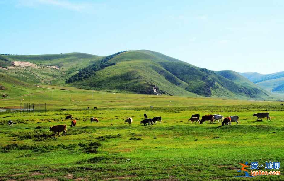 【壩上草原自駕游】壩上草原自駕游攻略—路線? 【壩上草原自駕游】壩上草原自駕游攻略—路線?