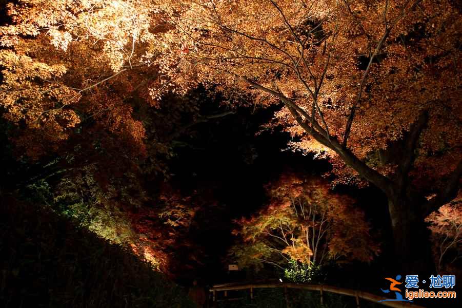 2018日本紅葉時間,日本紅葉前線時間? 2018日本紅葉時間,日本紅葉前線時間?