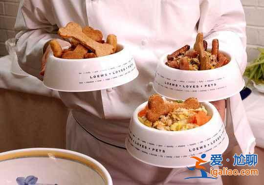 【允許動物入住的酒店】帶上寵物去旅行? 【允許動物入住的酒店】帶上寵物去旅行?