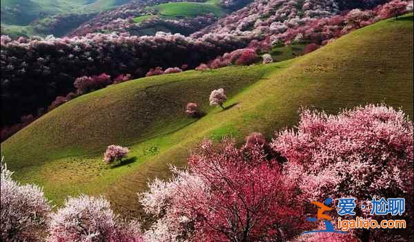 2017新疆杏花溝旅游,杏花溝旅游攻略,杏花溝旅游攻略？