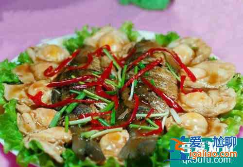 美食達人推介六款美味魯菜？