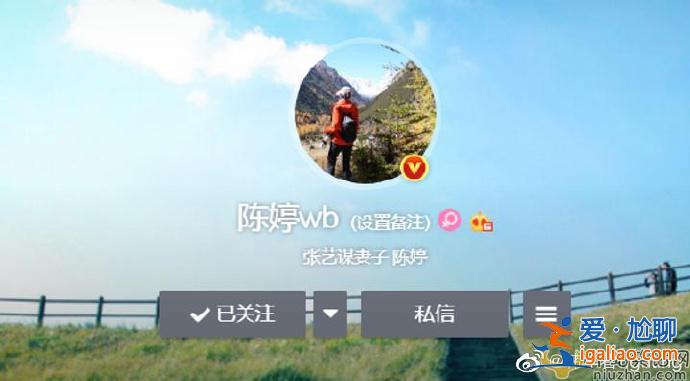 張藝謀妻子陳婷取消微博認(rèn)證是怎么回事？陳婷是第幾任妻子？