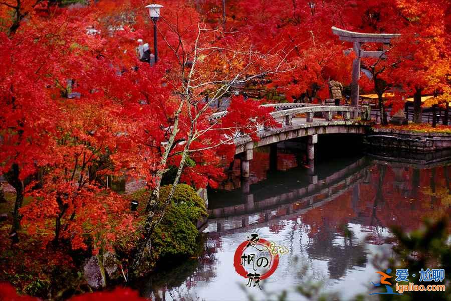 【京都紅葉】2018京都紅葉什么時候紅，京都紅葉時間及觀賞地？