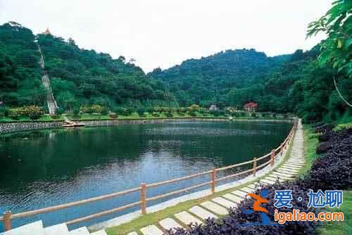 廣州春天去哪里玩，廣州周邊踏青好去處？