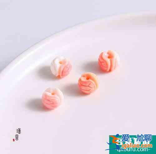 女王貝的功效 女王貝是什么？