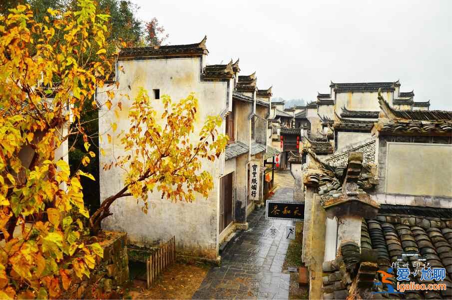 上海周邊自駕游攻略，上海周邊自駕游好去處，上海周邊有自駕游推薦？
