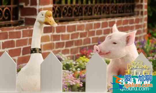 《麥兵兵之奪寶聯“萌”》上座率高 穩居第一? 《麥兵兵之奪寶聯“萌”》上座率高 穩居第一?