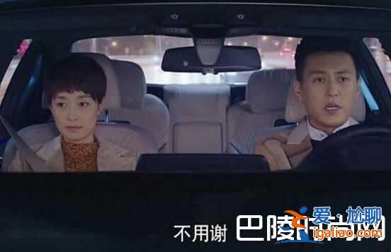我的前半生劇情介紹至大結局 結局劇透賀涵羅子君再次相遇？