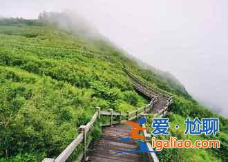 2018最適合夏季旅游的城市推薦，2018夏季去哪里旅游最好？