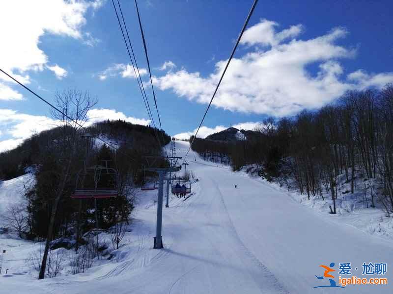 何必苦苦等下雪，去世界上降雪量最大的城市旅行玩雪??？