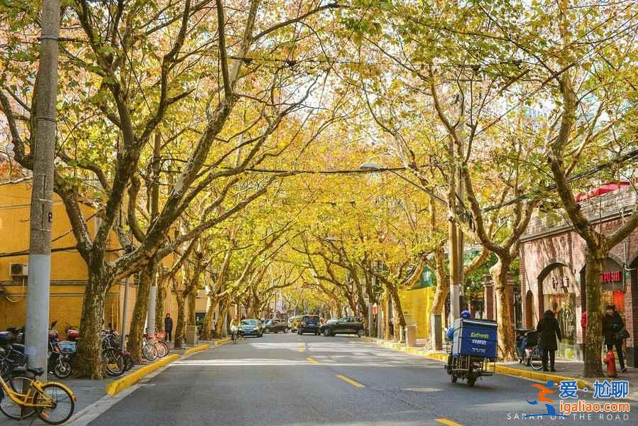 上海周末徒步路線，上海周末徒步好地方？