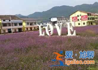 2017墊江牡丹文化節(jié)舉辦時間—地點—門票信息？