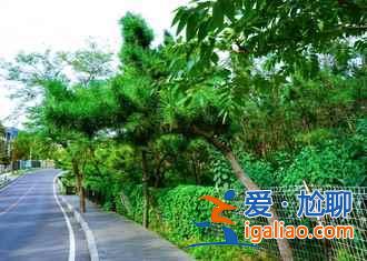遼寧有什么好玩的，2019遼寧五一去哪玩比較好？