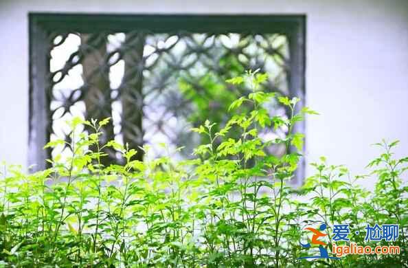 3、4月出游,人少景美的好地方!? 3、4月出游,人少景美的好地方!?