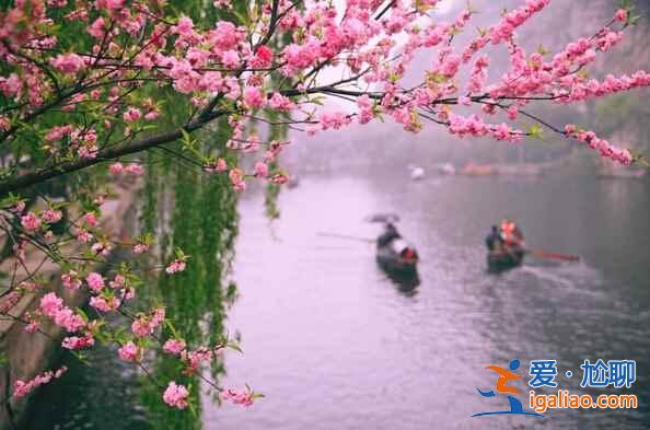 3、4月出游,人少景美的好地方!? 3、4月出游,人少景美的好地方!?