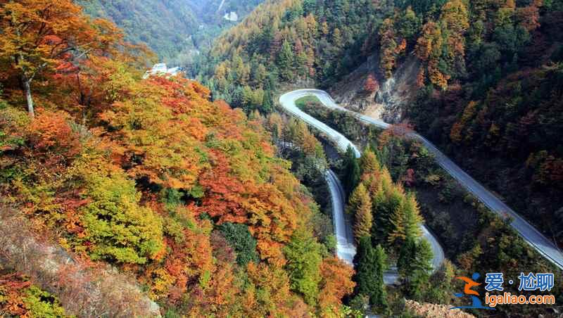 光霧山紅葉什么時候紅,2018光霧山紅葉紅了嗎? 光霧山紅葉什么時候紅,2018光霧山紅葉紅了嗎?
