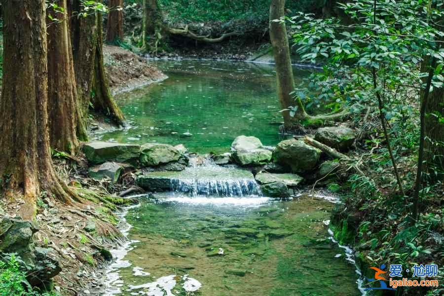 從杭州蕭山機場怎么去市區，杭州蕭山機場到市區有公交和地鐵嗎，杭州蕭山機場到市區的交通指南？