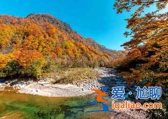 光霧山紅葉什么時候紅,2018光霧山紅葉紅了嗎? 光霧山紅葉什么時候紅,2018光霧山紅葉紅了嗎?