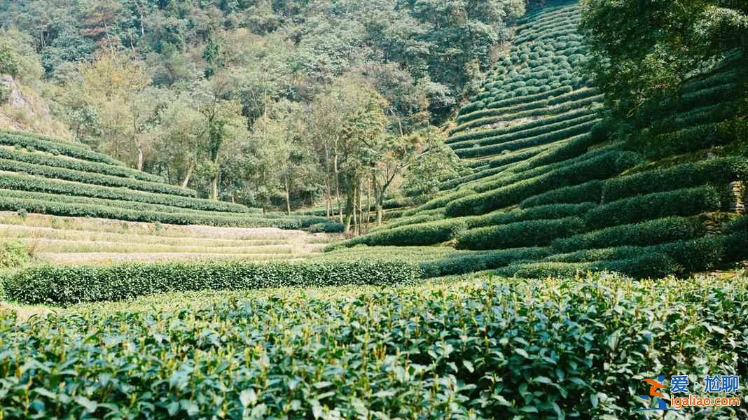 從杭州蕭山機場怎么去市區，杭州蕭山機場到市區有公交和地鐵嗎，杭州蕭山機場到市區的交通指南？