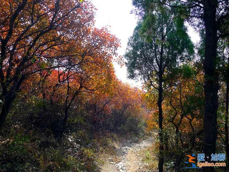 【北京登山好去處】2019北京登山去哪好，北京值得去的8條登山步道？