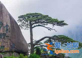 五一去黃山人多嗎,2019五一去黃山好玩嗎? 五一去黃山人多嗎,2019五一去黃山好玩嗎?