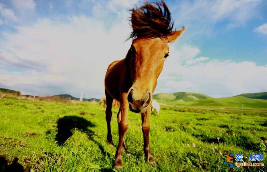 2019河北五一去哪玩比較好,五一河北哪里好玩? 2019河北五一去哪玩比較好,五一河北哪里好玩?