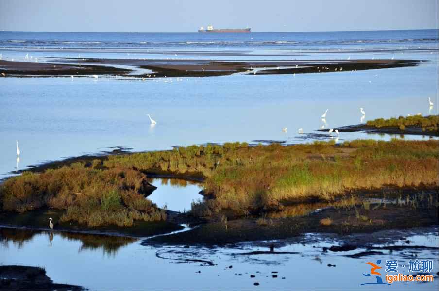 2019河北五一去哪玩比較好,五一河北哪里好玩? 2019河北五一去哪玩比較好,五一河北哪里好玩?