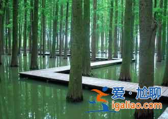 說起油菜花，婺源人太多，這里才是最佳！？