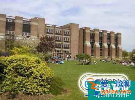 2019年英國雷丁大學世界排名【QS最新世界排名第195a名】？