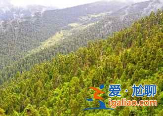早春川藏線,春花爛漫是主旋律!? 早春川藏線,春花爛漫是主旋律!?