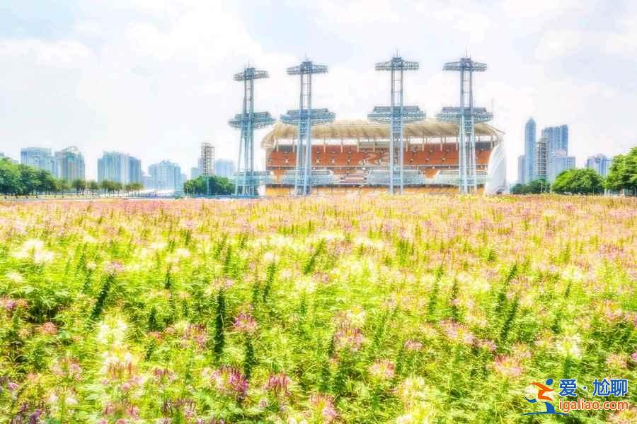 廣州哪里好玩又便宜?廣州便宜好玩的地方推薦? 廣州哪里好玩又便宜?廣州便宜好玩的地方推薦?